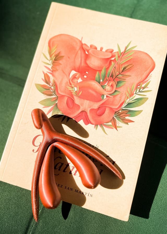 Un libro sobre ginecología natural acompañado de un modelo de un clítoris en impresión 3D